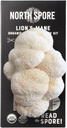 North Spore Organic Lion's Mane Mushroom Spray & Grow Kit (4 lbs) | USDA-Certified Organic, Non-GMO, Beginner-Friendly & Easy to Use | Handmade in Maine, USA