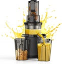 Slow Cold Press Juicer Machines: Masticating Cold Pressed Compact Juicer For Vegetable And Fruit Easy To Clean, Silver Grey