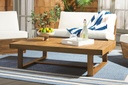 SAFAVIEH Outdoor Collection Duncan Natural Brown Slatted Top Solid Wood Coffee Table